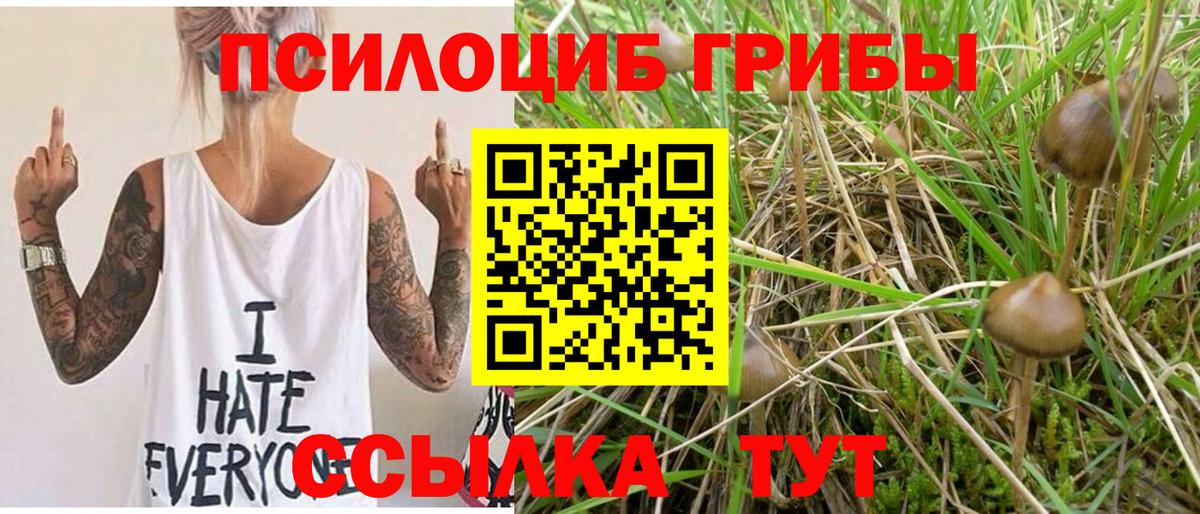 Псилоцибиновые грибы Psilocybine cubensis  Галлюциногенные грибы Magic Shrooms  Балаково  Вход с VPN 